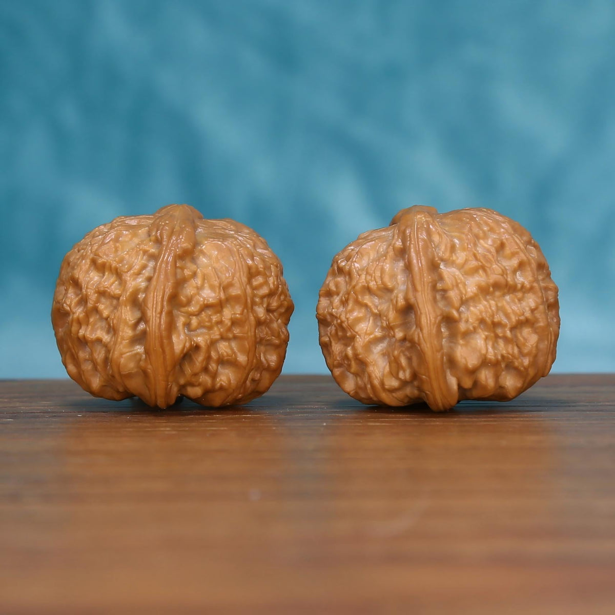 G001 Alabaster Crest walnut duo on wooden surface – raw unpolished Wabi-Sabi botanical artifacts