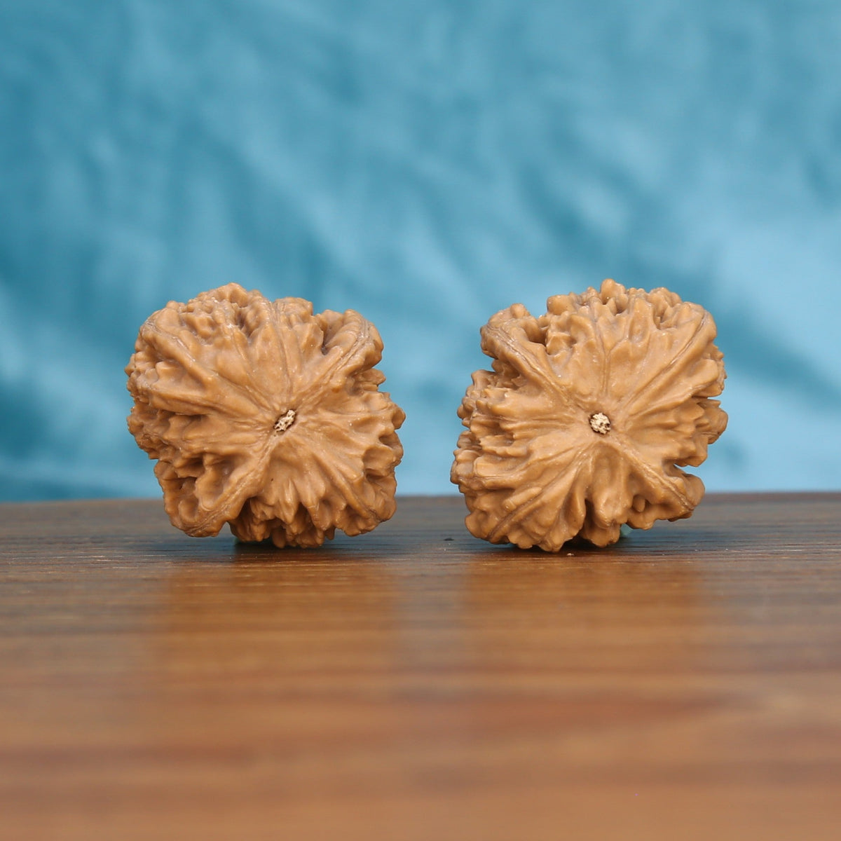 Xing-Tai-Yuan-Bao walnut pair bottom view on wood – natural yuan-bao base pattern, Horizon-Curve Twins premium set
