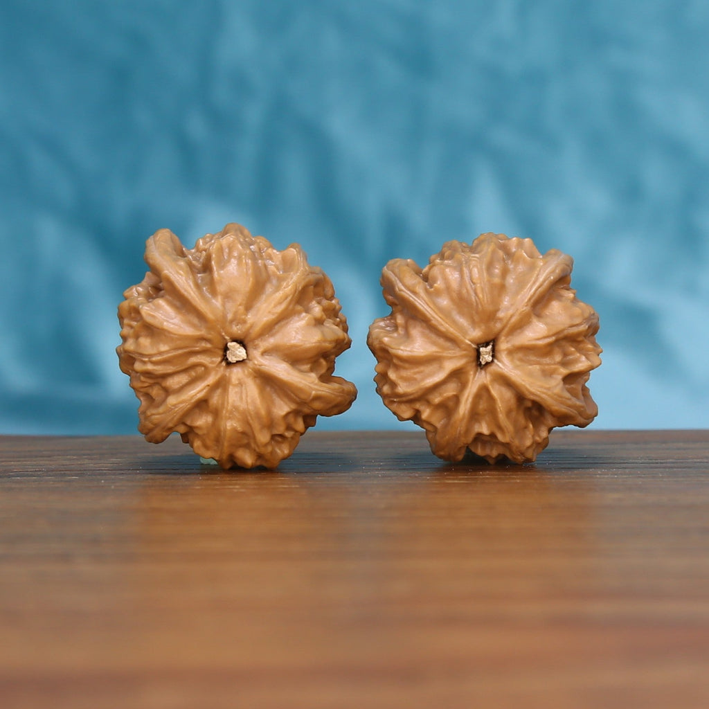 Bottom view of a matched Four-Ridge Wenwan walnut pair showing natural base details
