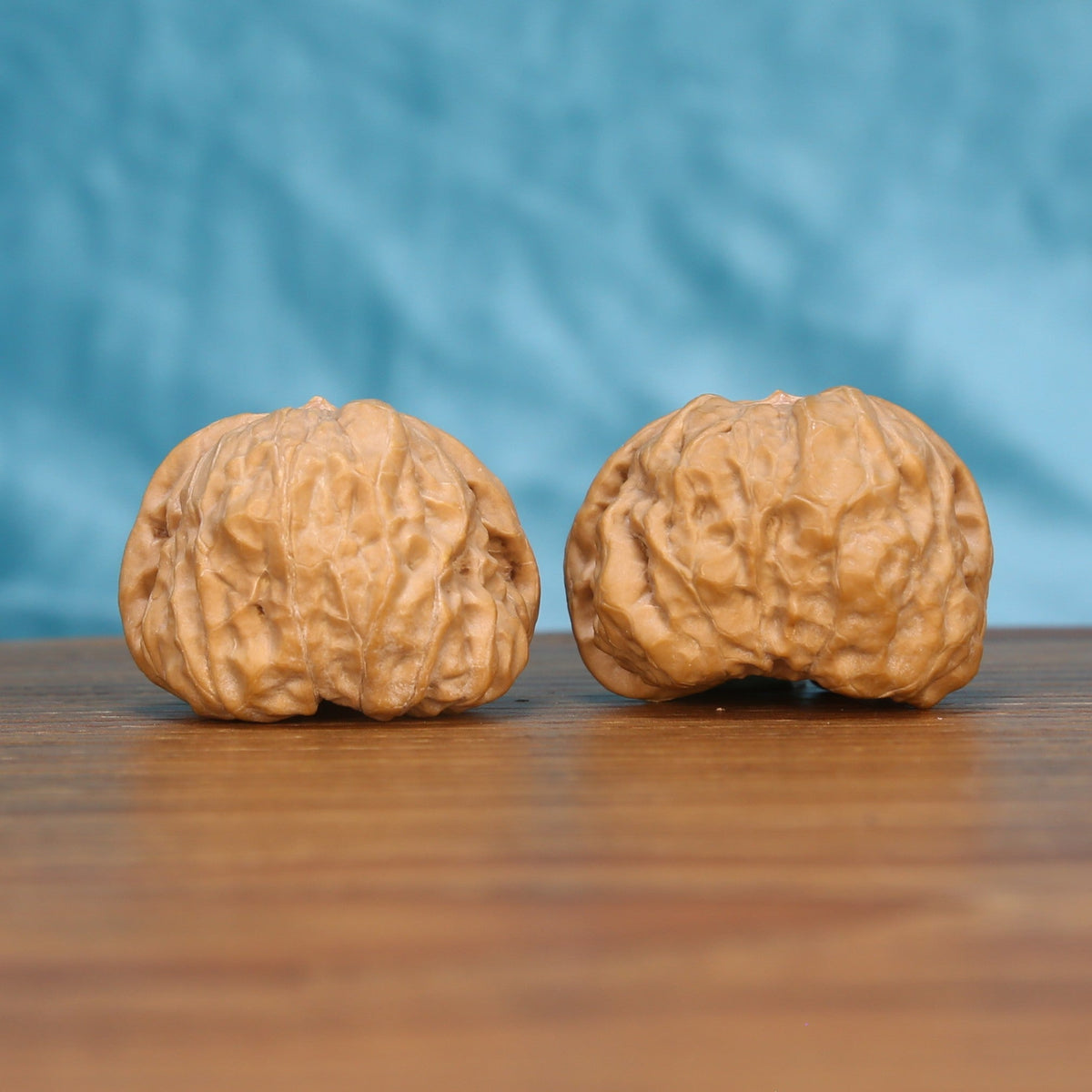 The Obsidian Flat-Earth | “Ha-Ma-Tou” Walnut Set 4570
