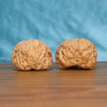 Single Ha-Ma-Tou wenwan walnut on wooden surface, blue fabric background – flat toad-head shape detail