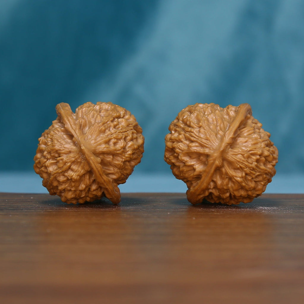 Side view of two 5626 wenwan walnuts showing their rounded profiles
