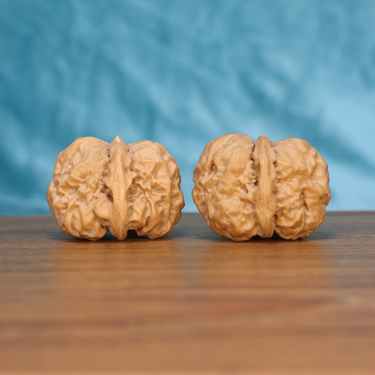 Ha-Ma-Tou walnut set side profile on wood, blue background – symmetrical flat toad-head grain
