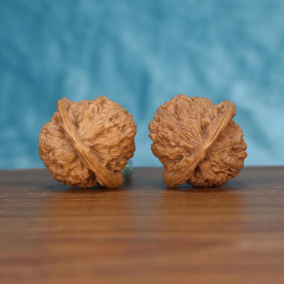 Pair of wenwan walnuts showing flat bottom with radiating seam and bumpy textured surface, bottom view on wooden surface with blue background
