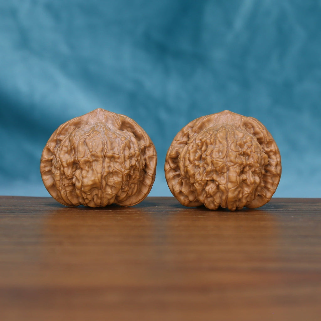 The Ember Pair | CWY209 Wenwan Walnut Set