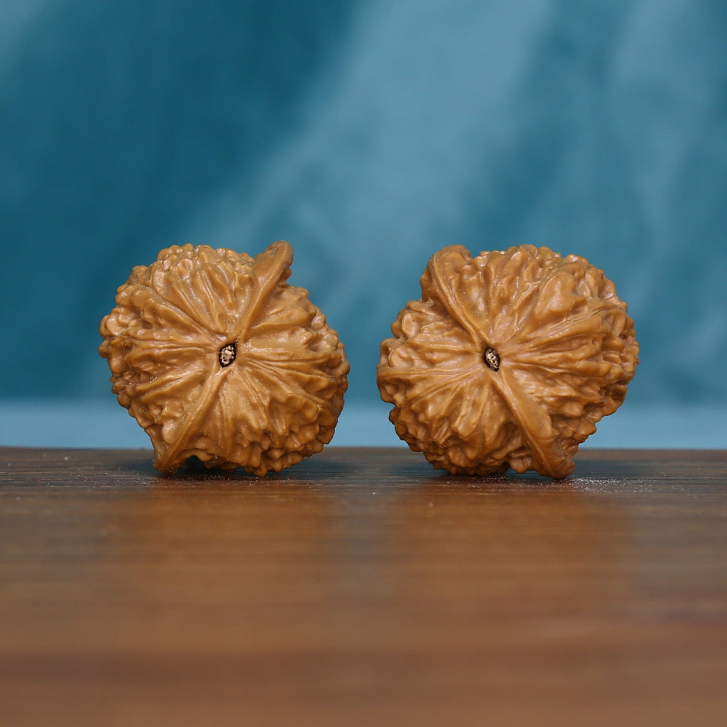 Base view of the 5626 wenwan walnut pair with radiating grooves
