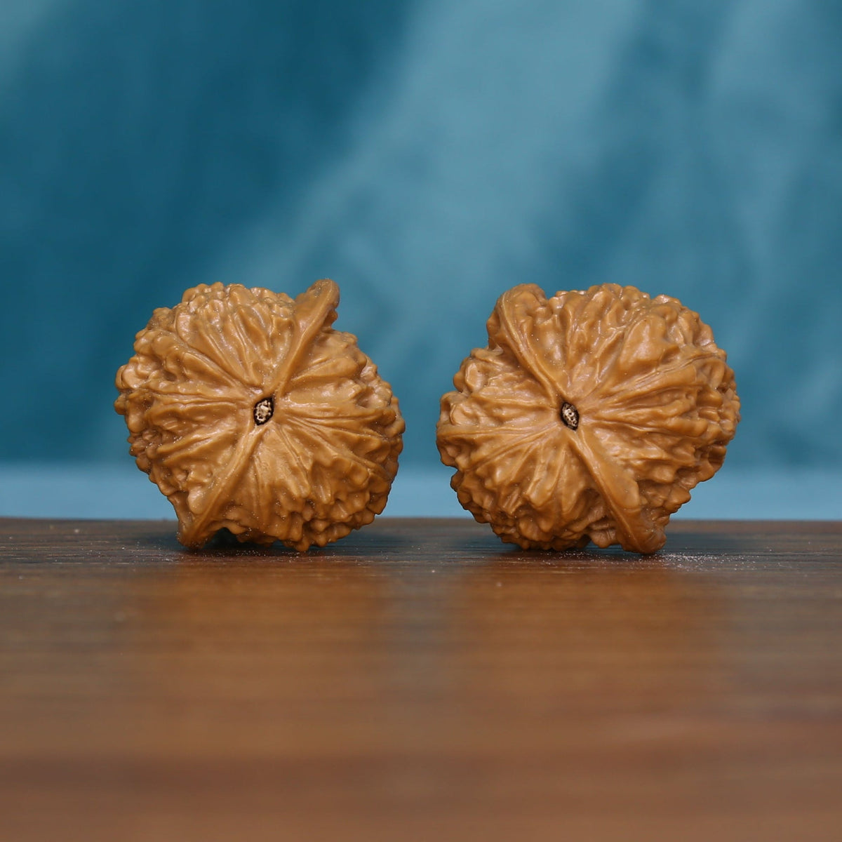 Base view of the 5626 wenwan walnut pair with radiating grooves

