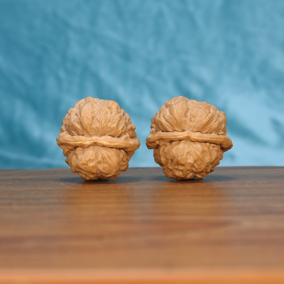 Ha-Ma-Tou walnut pair bottom view on wooden surface, natural flat shape and texture detail