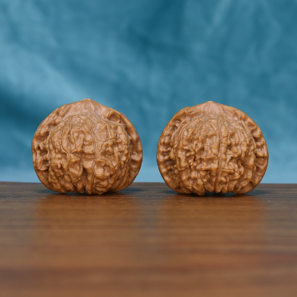 Side view of The Ember Pair Wenwan Walnut Set showing the walnuts’ dense ridge patterns and sculpted profiles.
