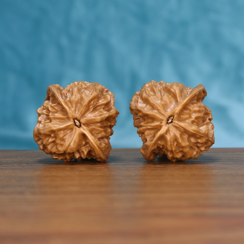 Bottom view of a matched Linglong Wenwan walnut pair showing their natural base patterns
