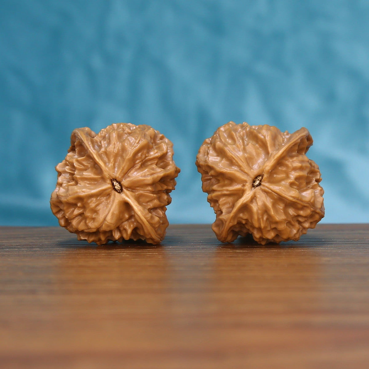 Bottom view of a matched Linglong Wenwan walnut pair showing their natural base patterns
