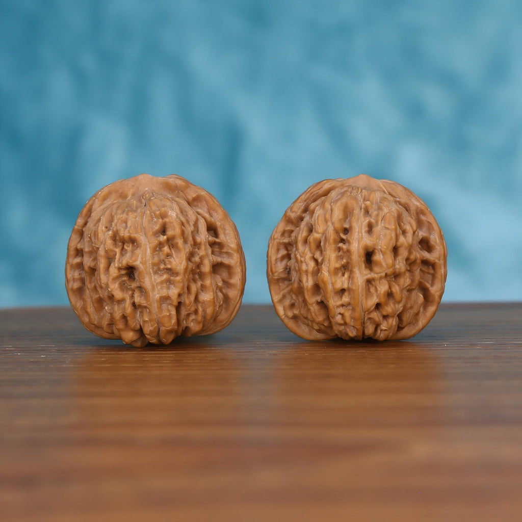 Pair of wenwan walnuts with prominent vertical seam and dense layered wrinkled texture, rounded form with pointed tip, front view on dark velvet surface with black background
