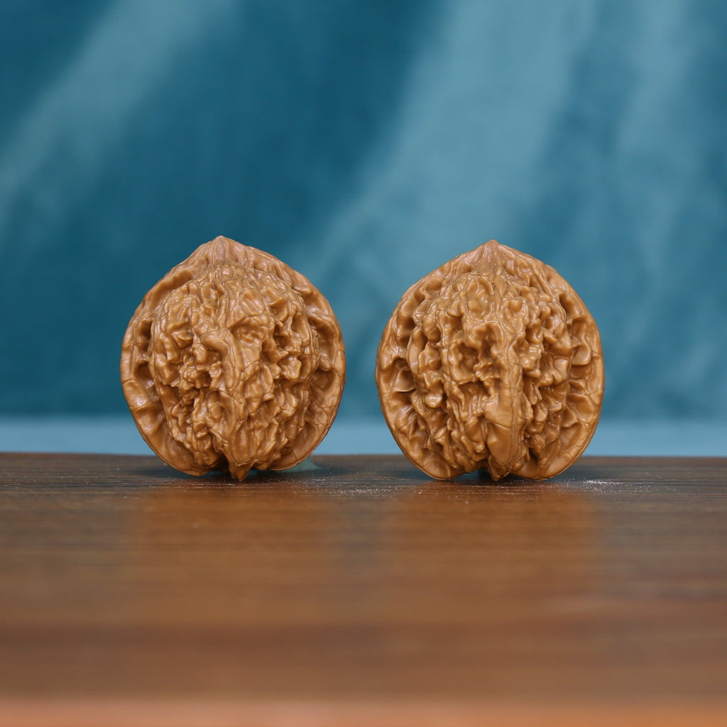 6209 Rosette Ridge wenwan walnut pair showing their textured tan surfaces
