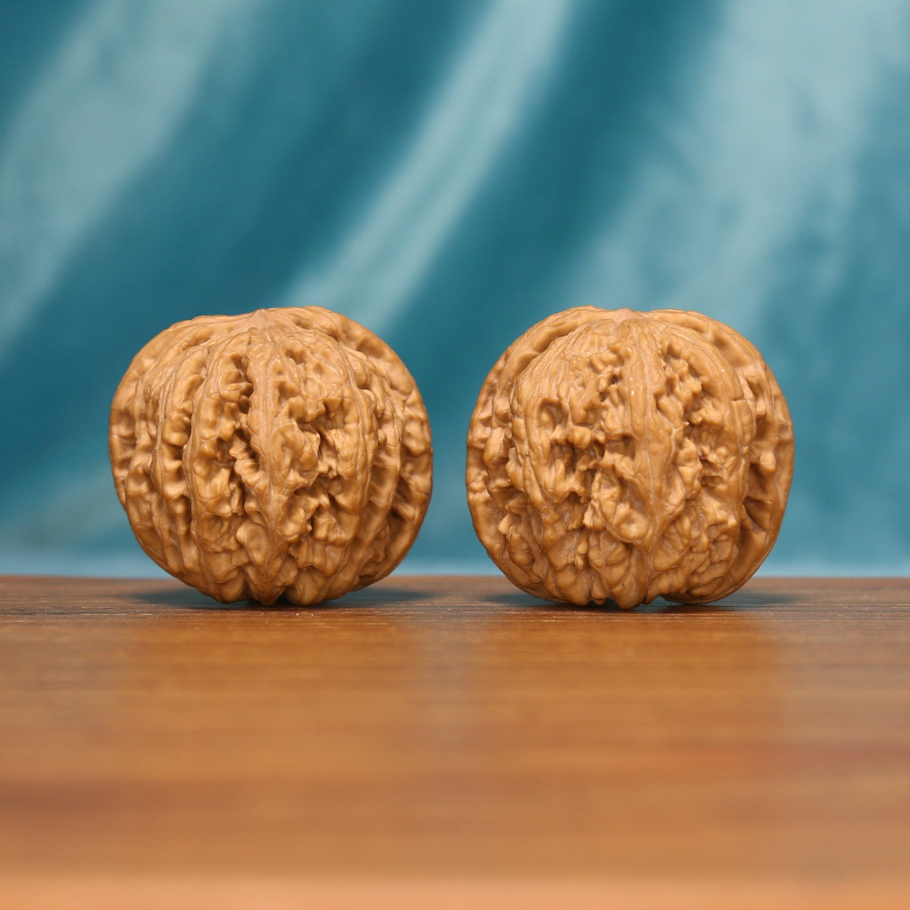 Angled front view of The Twin Peaks Wenwan walnuts showing their warm color and textured surfaces.

