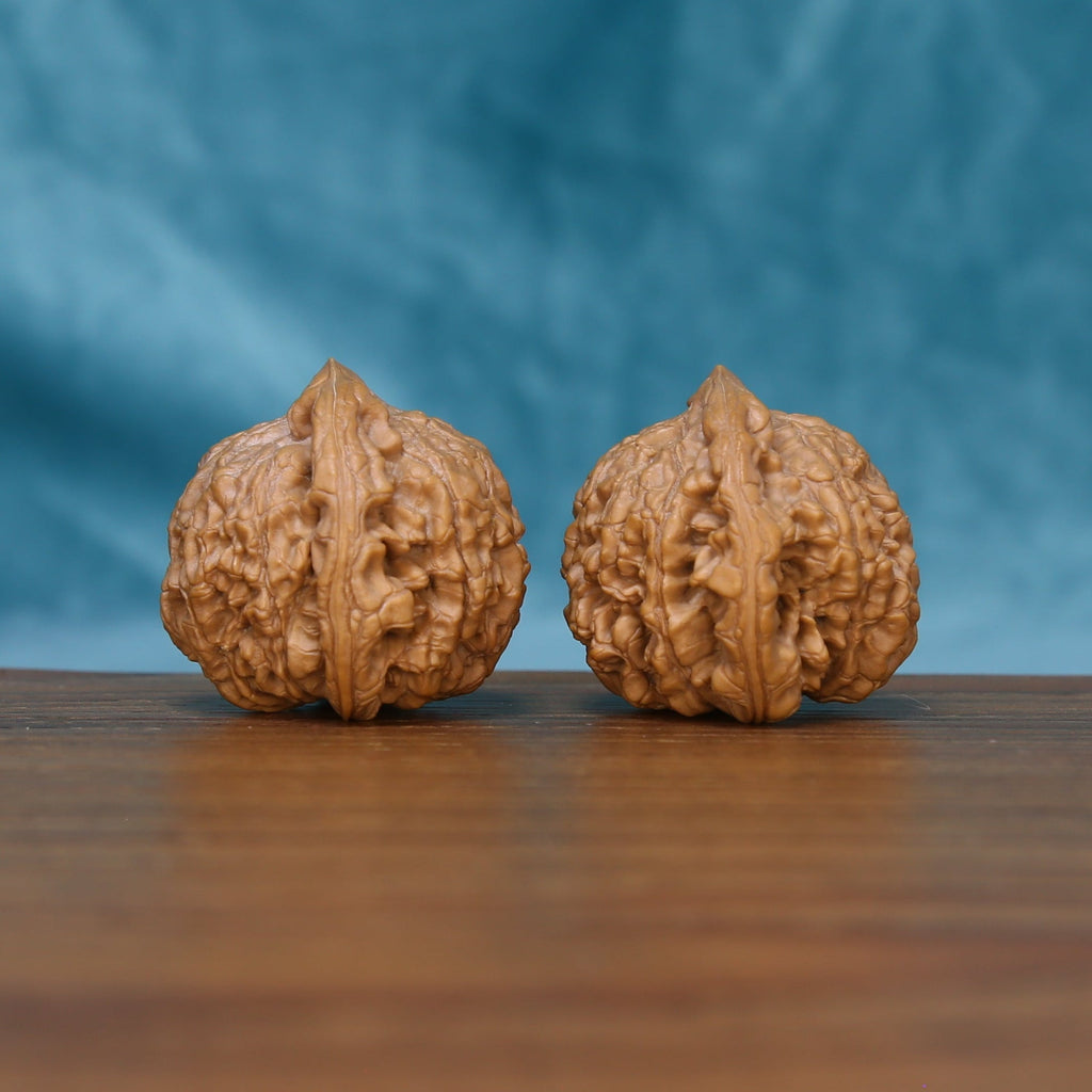 Rear view of The Ember Pair Wenwan Walnut Set displaying the walnuts’ rounded surfaces and deep natural texture.
