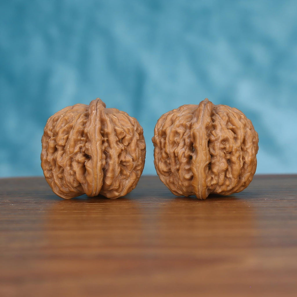 Pair of wenwan walnuts with deeply folded wrinkled surface and wide flat dome form, front view on dark velvet surface with black background
