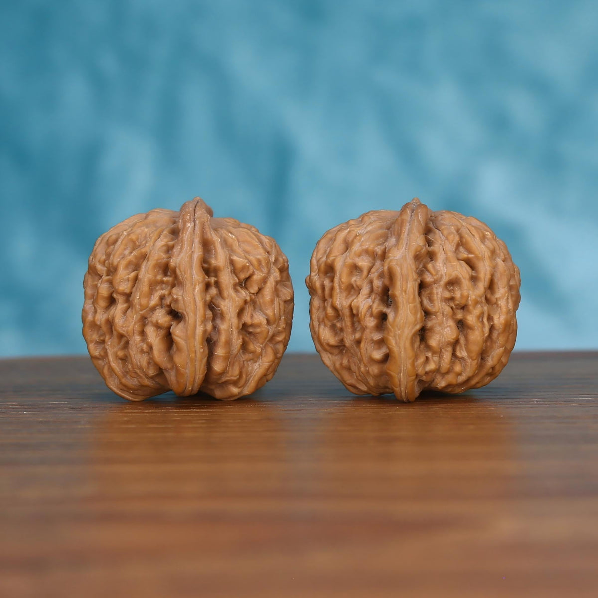 Pair of wenwan walnuts with deeply folded wrinkled surface and wide flat dome form, front view on dark velvet surface with black background
