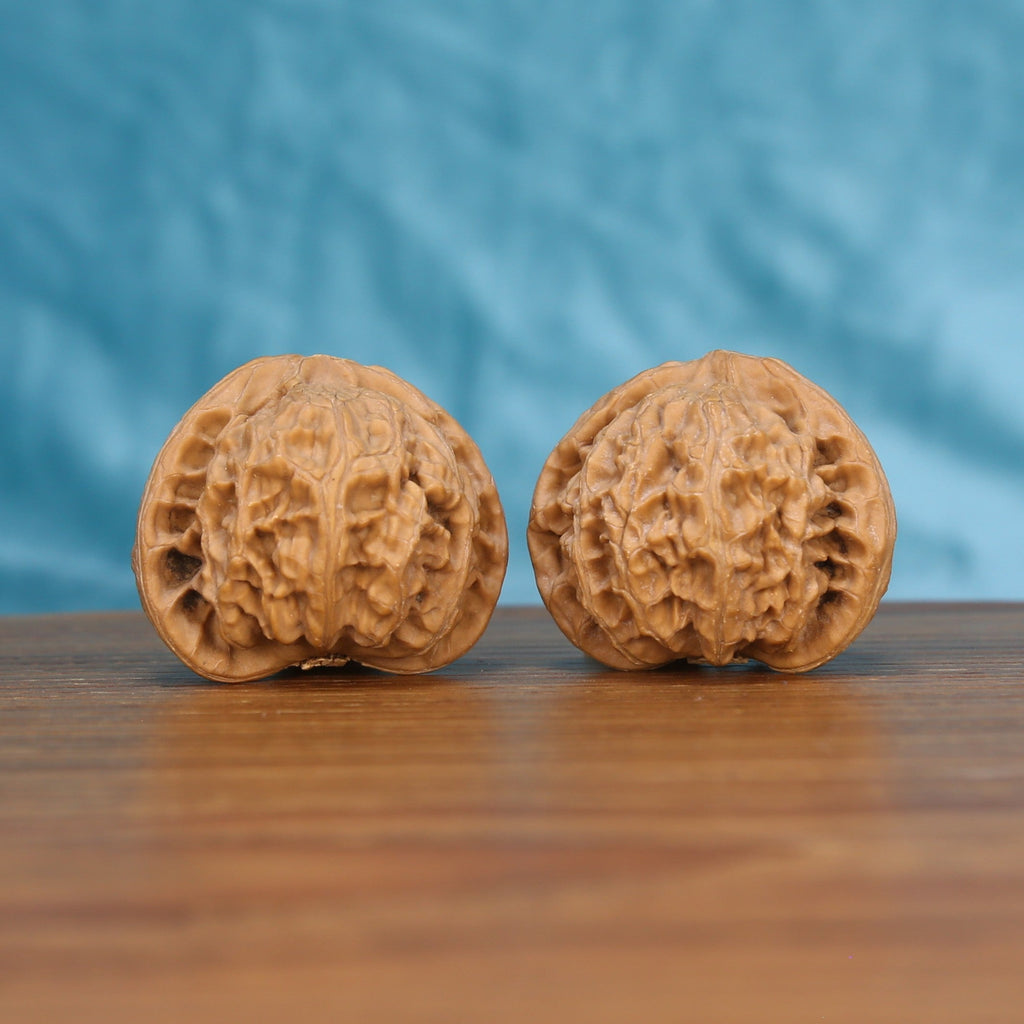 Gong-Deng walnut set side profile on wood, blue background – symmetrical lantern-shaped grain detail