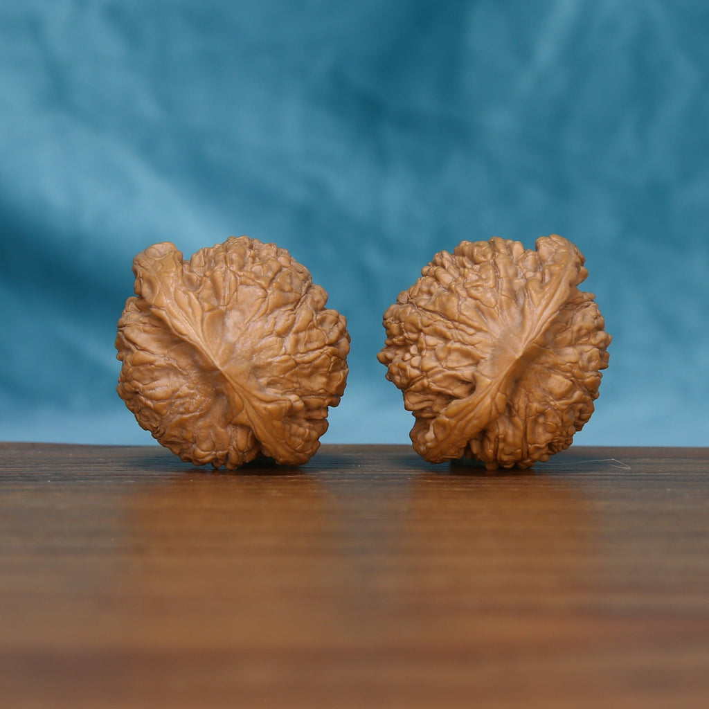 Bottom view of The Ember Pair Wenwan walnuts showing their textured bases and distinctive ridge patterns.
