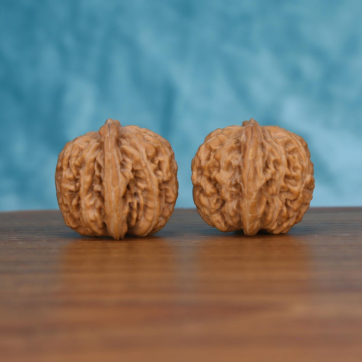 Pair of wenwan walnuts with bold vertical seam and irregular deeply wrinkled lobes, rounded form with pointed tip, side view on dark velvet surface with black background
