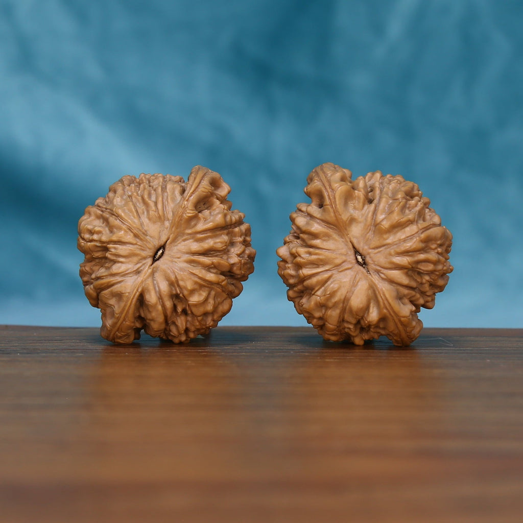 Close rear view of The Ember Pair Wenwan Walnut Set highlighting the walnuts’ star-like textures and sculpted edges.
