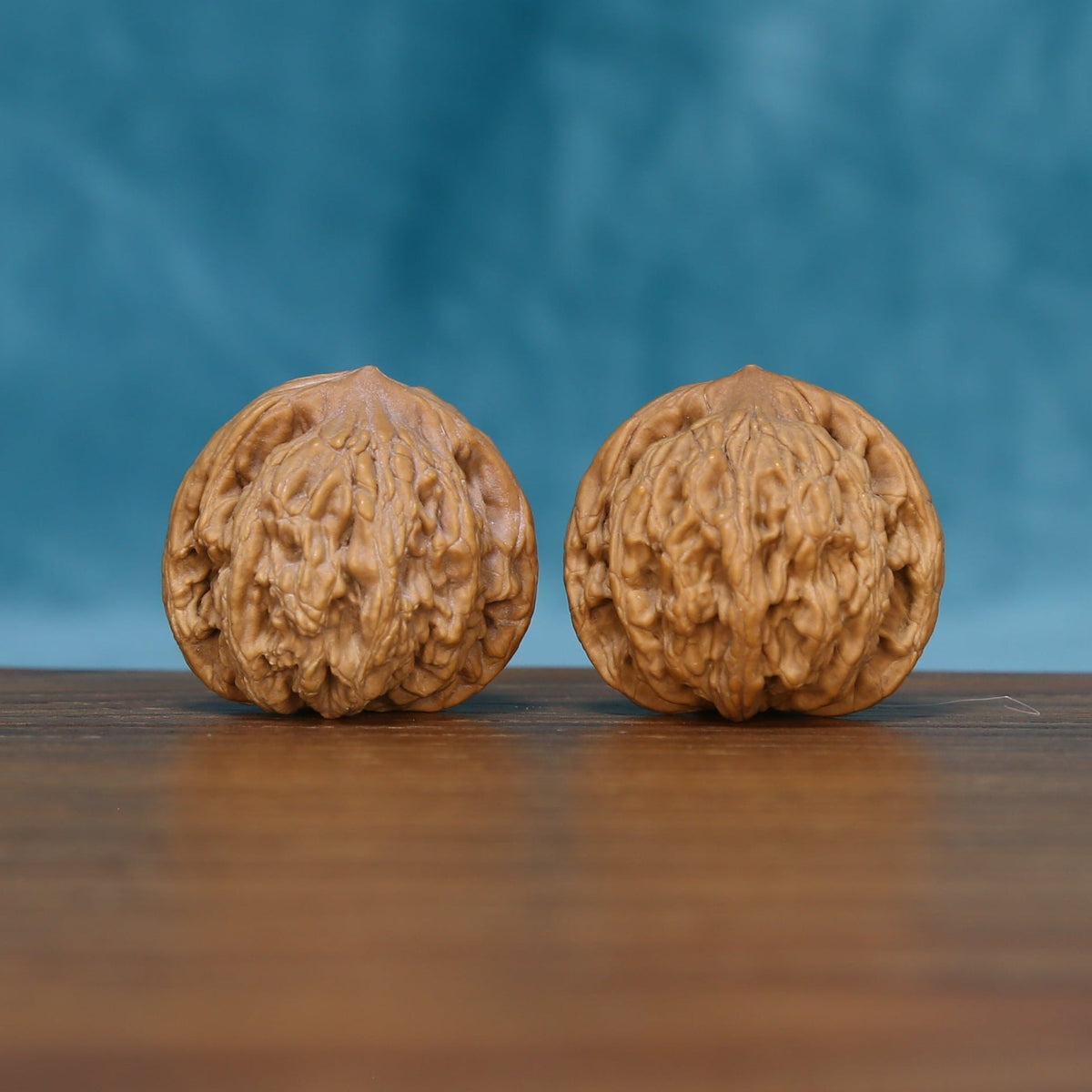 Angled front view of The Ivory Rounds Wenwan walnuts highlighting their balanced shapes and warm natural color.
