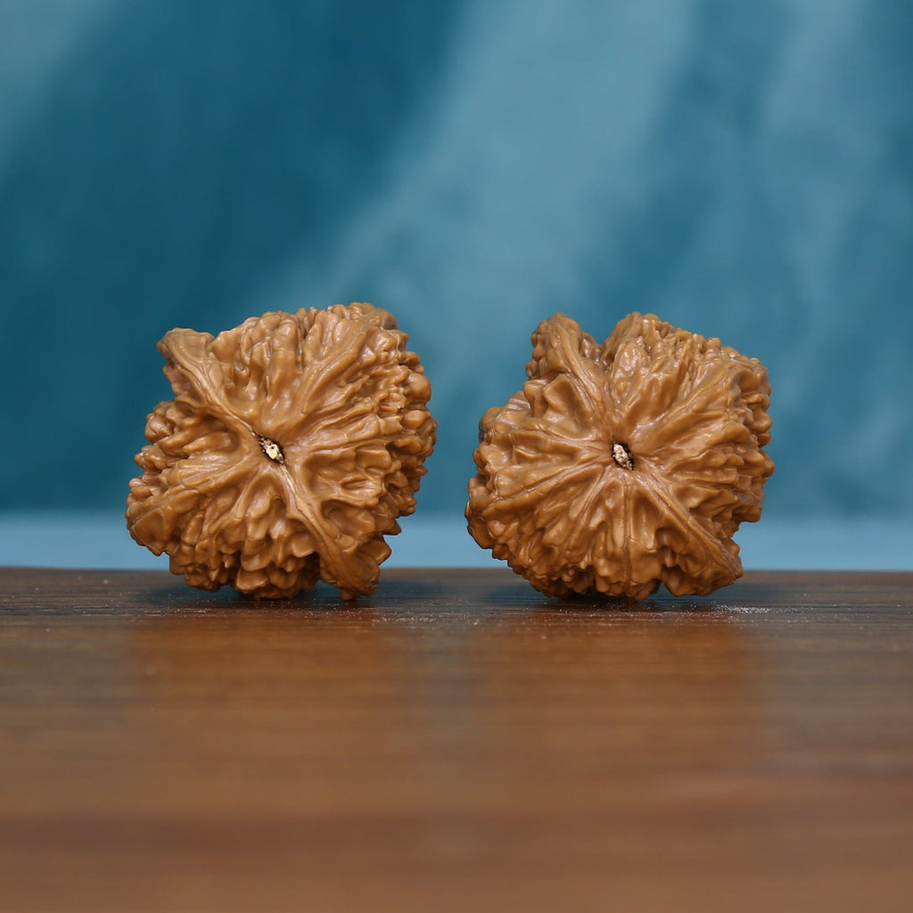 Alternate base view of the 6209 Rosette Ridge wenwan walnut pair
