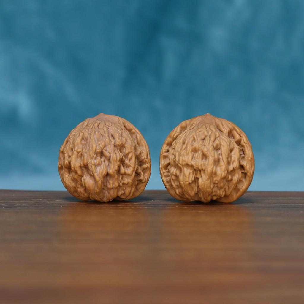 Side view of The Ivory Rounds Wenwan Walnut Set showing the walnuts’ rounded profiles and fine ridge patterns.
