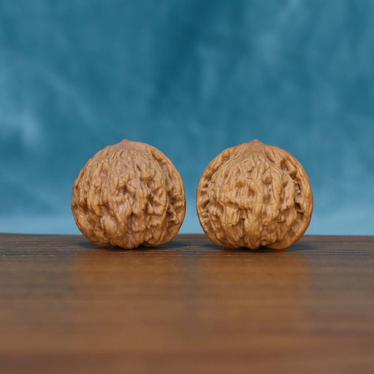 Side view of The Ivory Rounds Wenwan Walnut Set showing the walnuts’ rounded profiles and fine ridge patterns.
