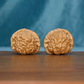 Pair of 6094 wenwan walnuts with closely matched rounded shapes and raised ridges
