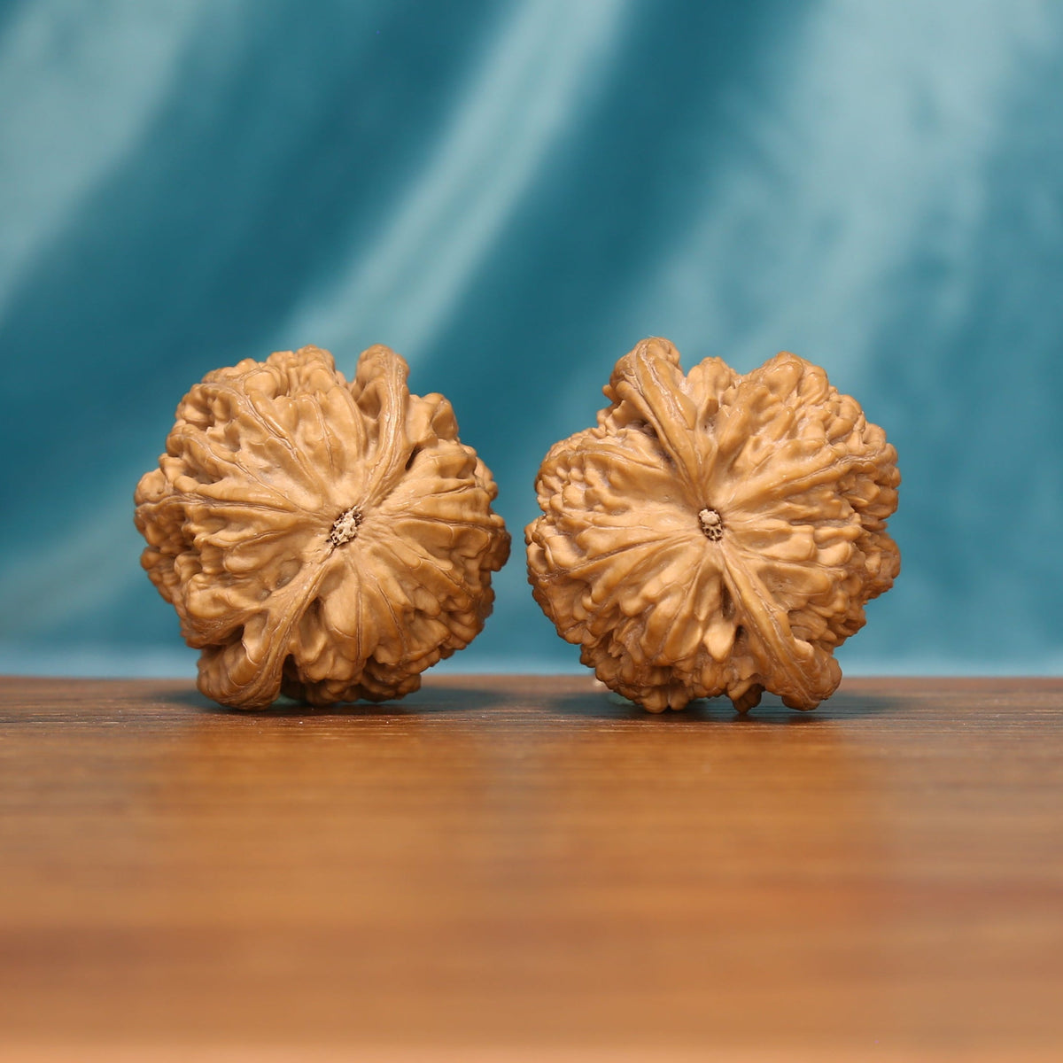 Bottom view of The Twin Peaks Wenwan walnuts displaying compact bases and distinctive natural ridges.
