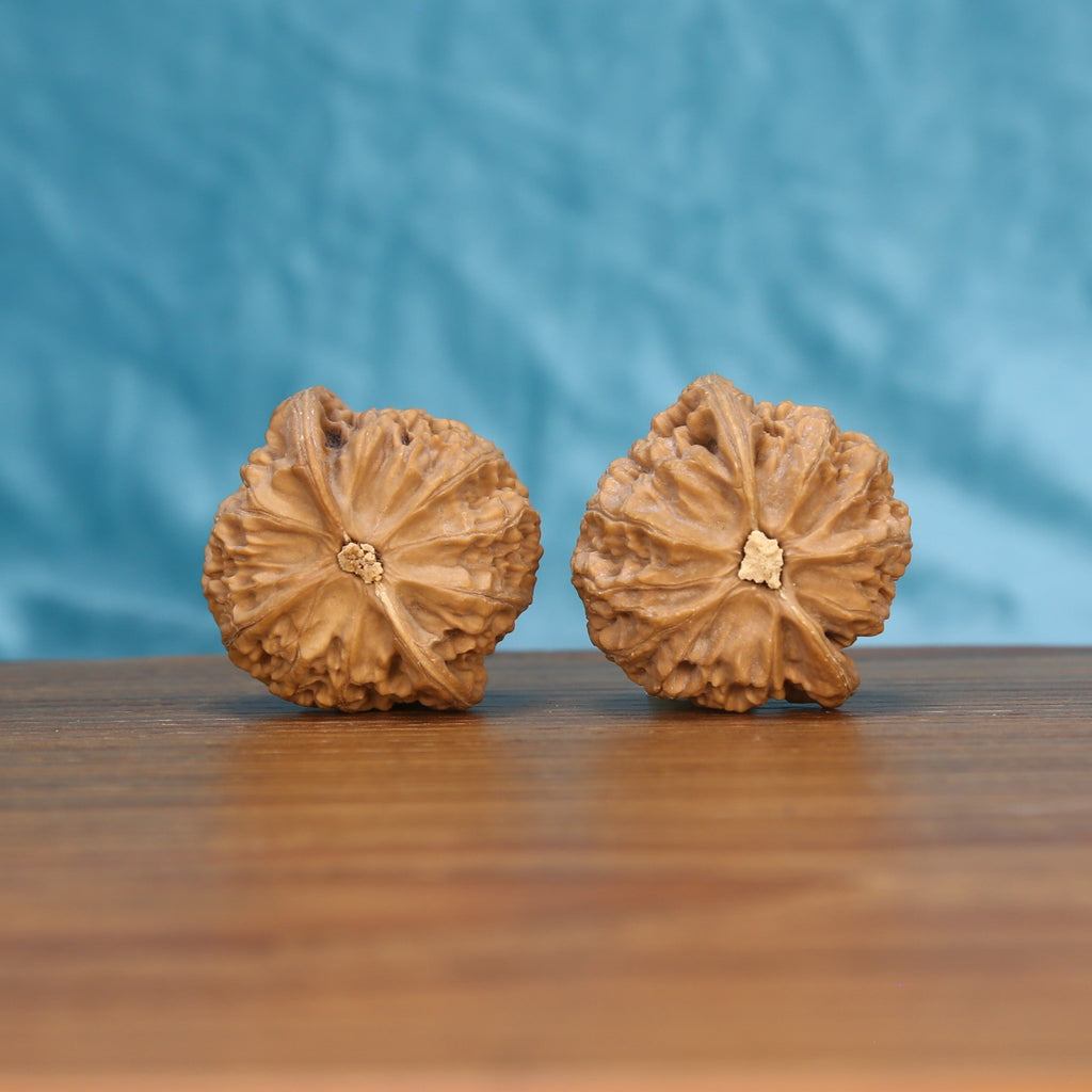 Gong-Deng wenwan walnut pair alternate angle on wood – premium natural texture, Imperial Pavilion set
