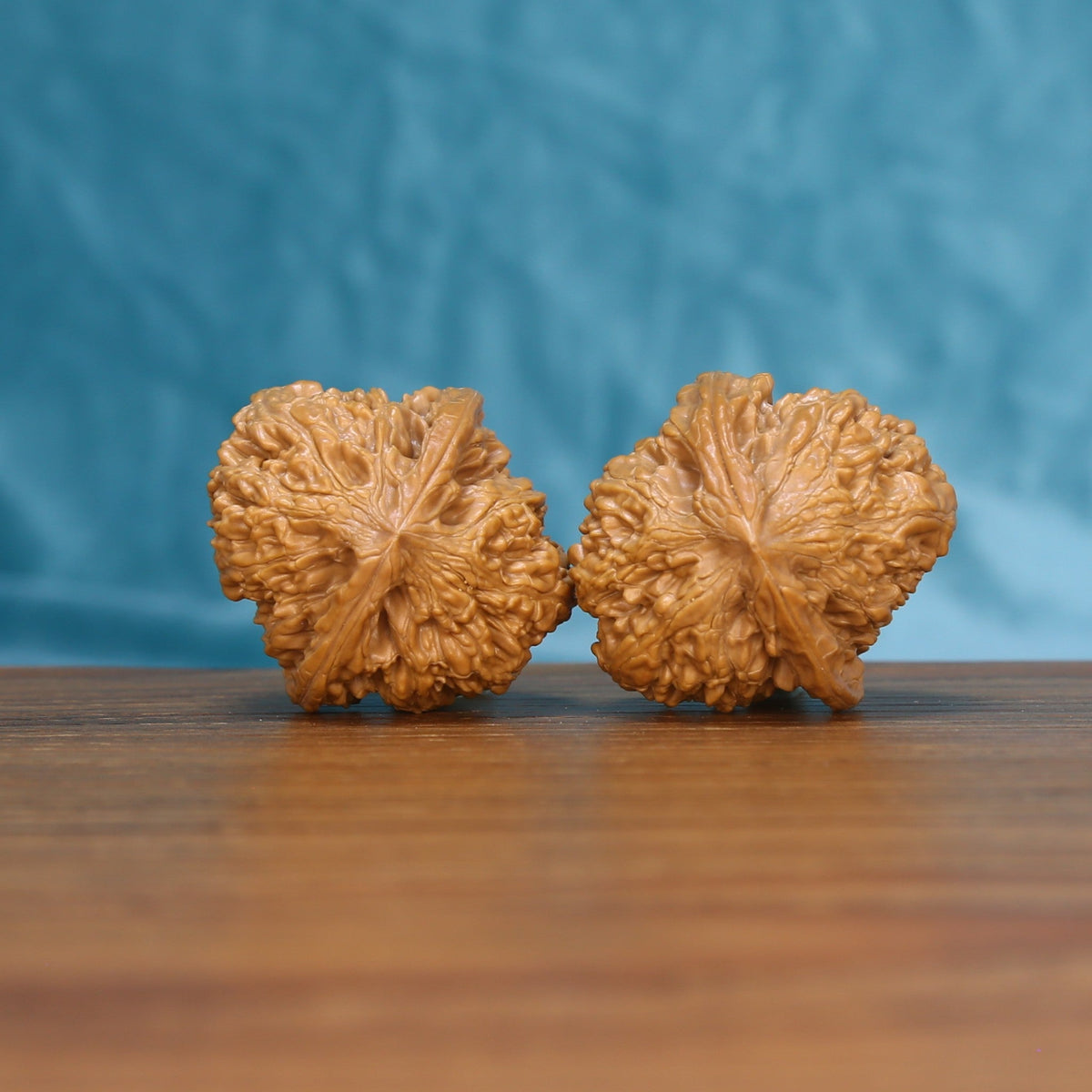 Back view of two Stone Wenwan walnuts showing their distinct natural patterns
