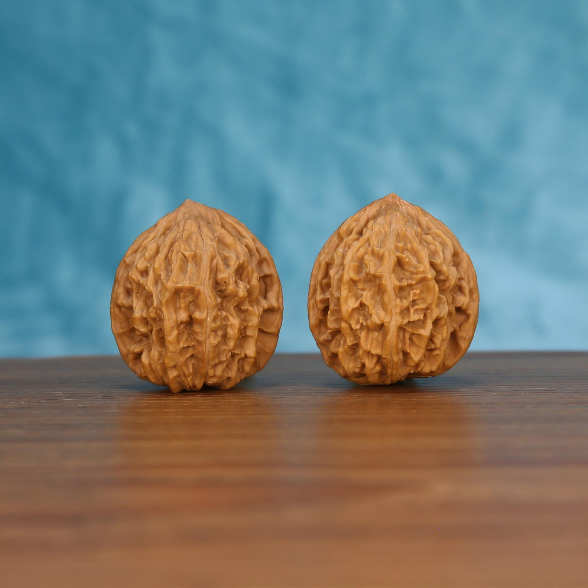 Pair of wenwan walnuts with coarsely pitted wrinkled surface and broad squat rounded form, front view on wooden surface with blue background
