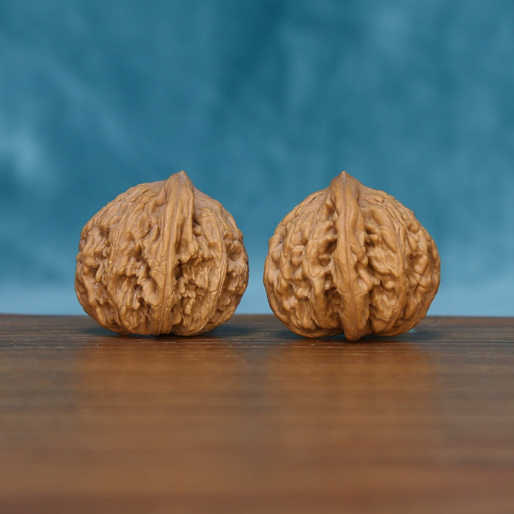 Rear view of The Ivory Rounds Wenwan Walnut Set displaying the walnuts’ compact forms and carved-looking ridges.

