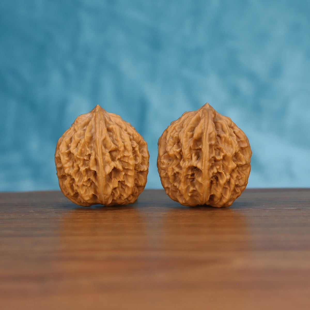 Pair of wenwan walnuts with sharp pointed tip and prominent vertical seam, deeply folded wrinkled surface, side view on wooden surface with blue background
