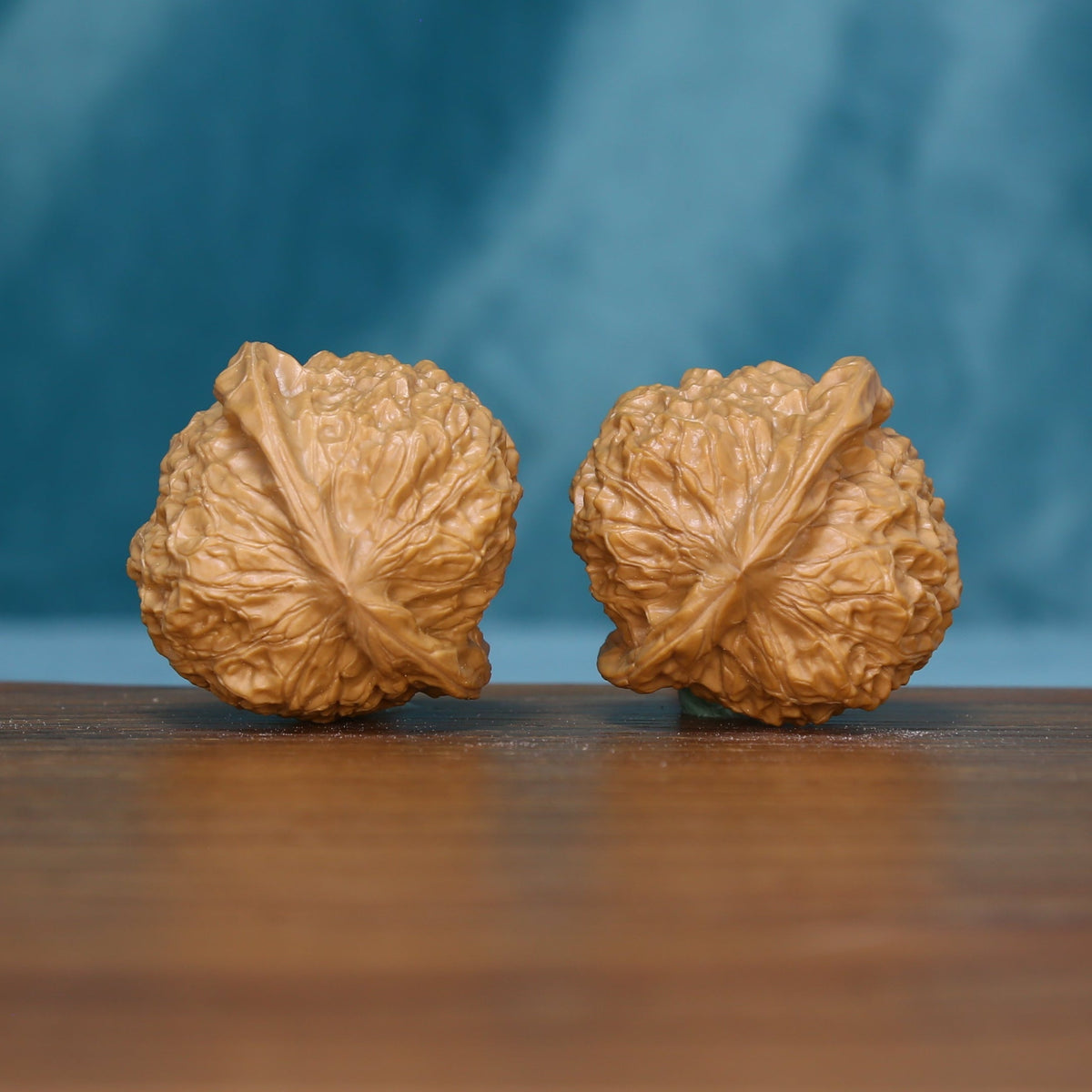 Side view of two 6094 wenwan walnuts showing their natural grooves
