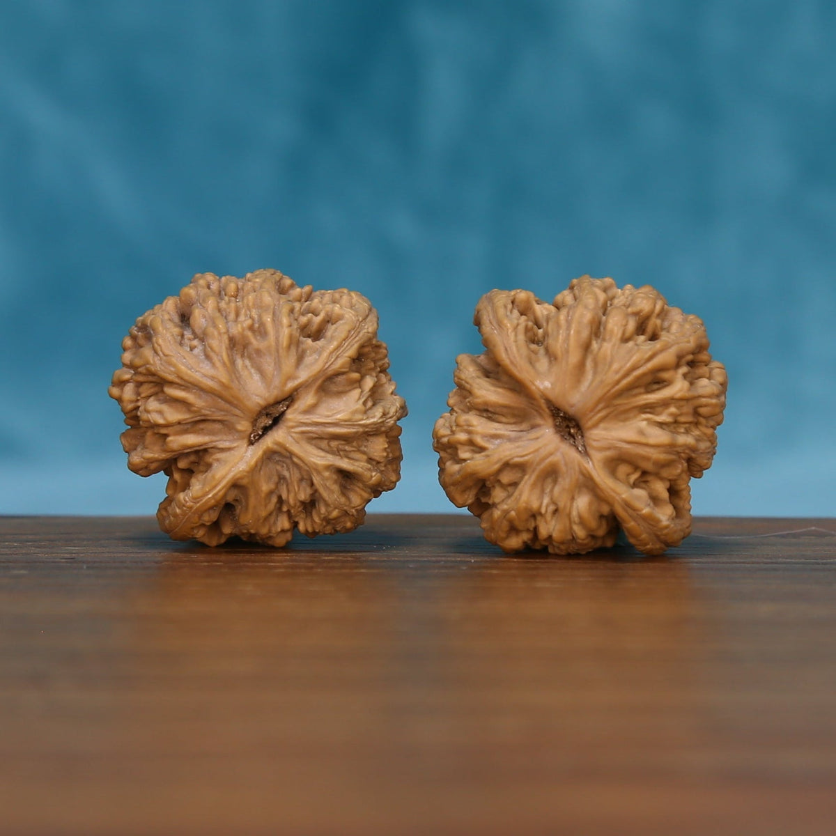 Close rear view of The Ivory Rounds Wenwan Walnut Set highlighting the walnuts’ sculpted surfaces and deep texture.
