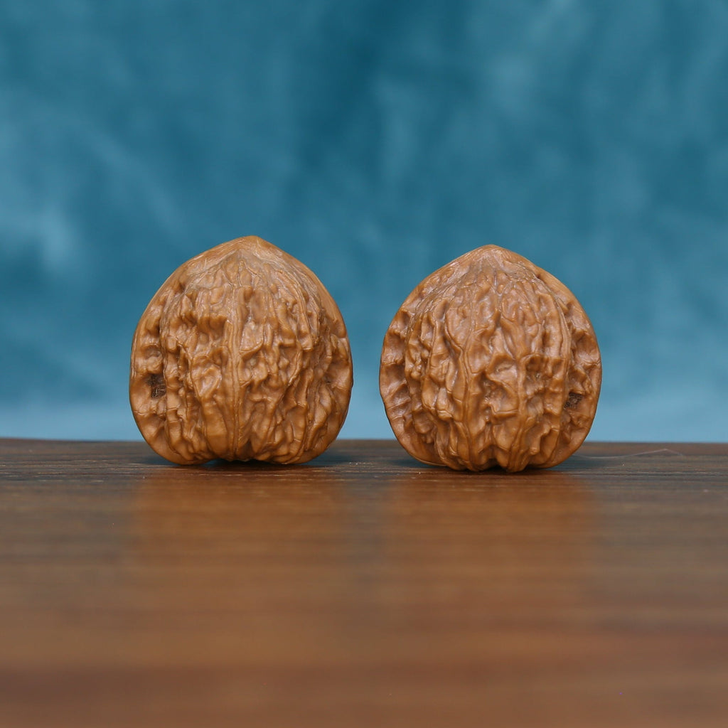 Angled front view of The Stone Pearls Wenwan walnuts highlighting their compact forms and warm natural color.
