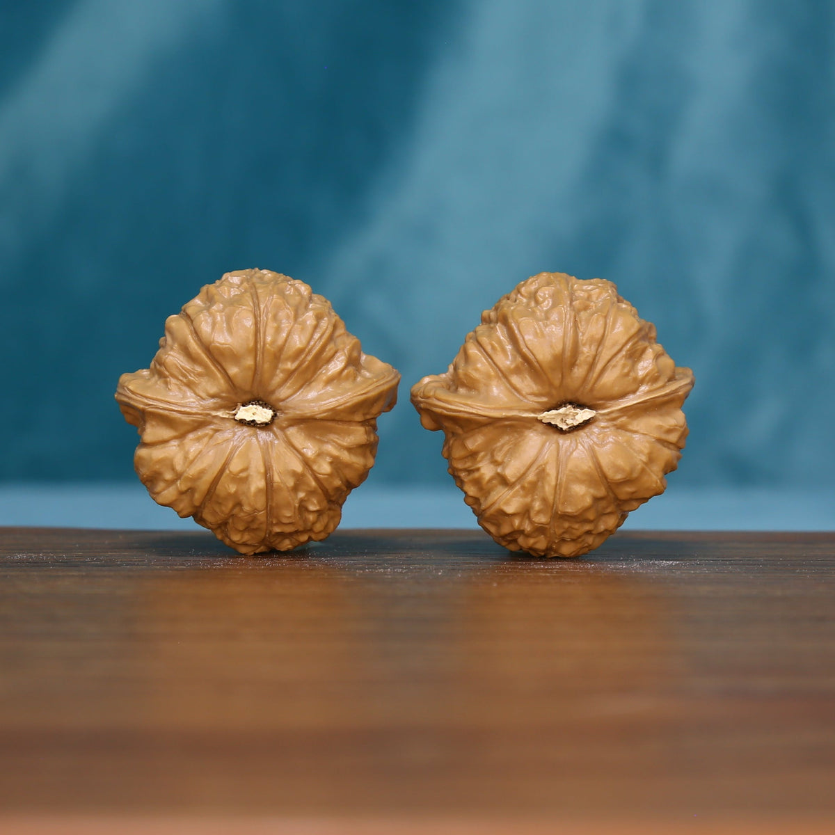 Base view of the 6094 wenwan walnut pair showing radiating ridges
