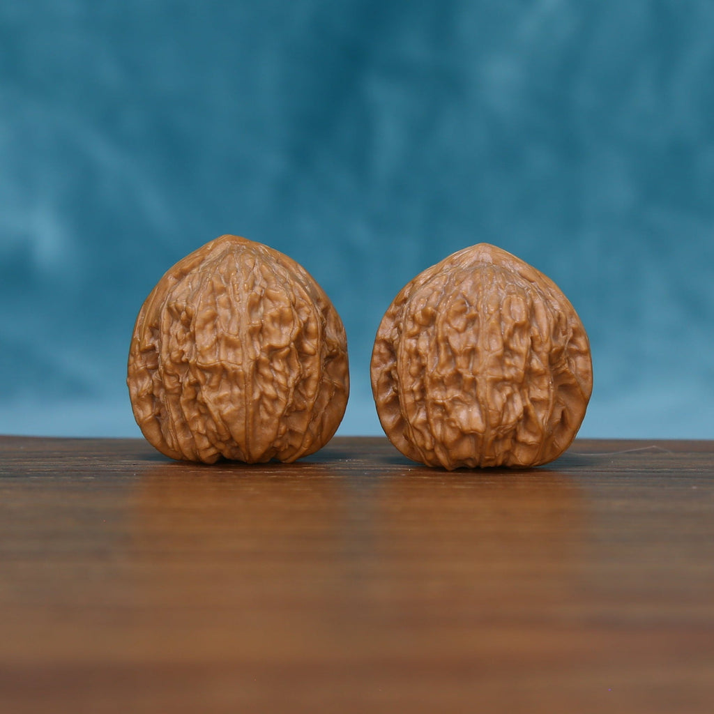 Side view of The Stone Pearls Wenwan Walnut Set showing the walnuts’ fine ridge patterns and rounded profiles.
