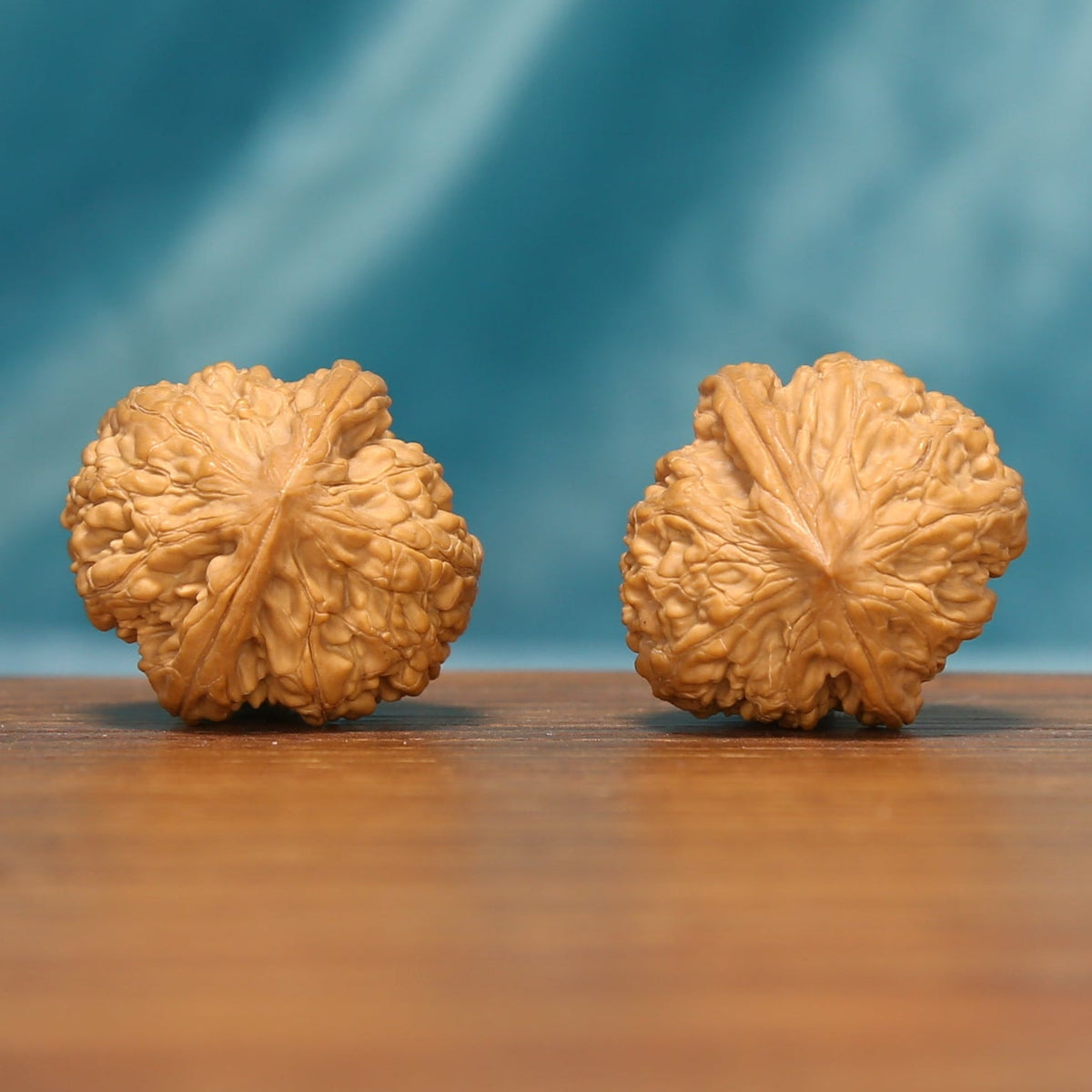 Rear view of The Pocket Pebbles Wenwan walnuts showing their rounded forms and natural variation.
