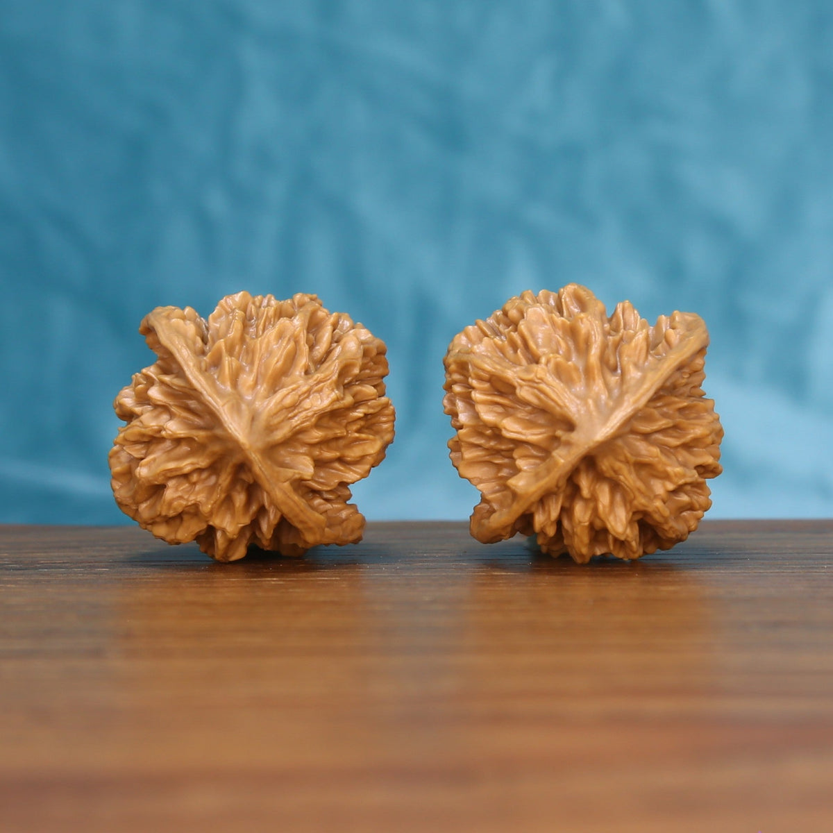 Side profile of the 6130 Emperor wenwan walnut pair showing the raised central ridge
