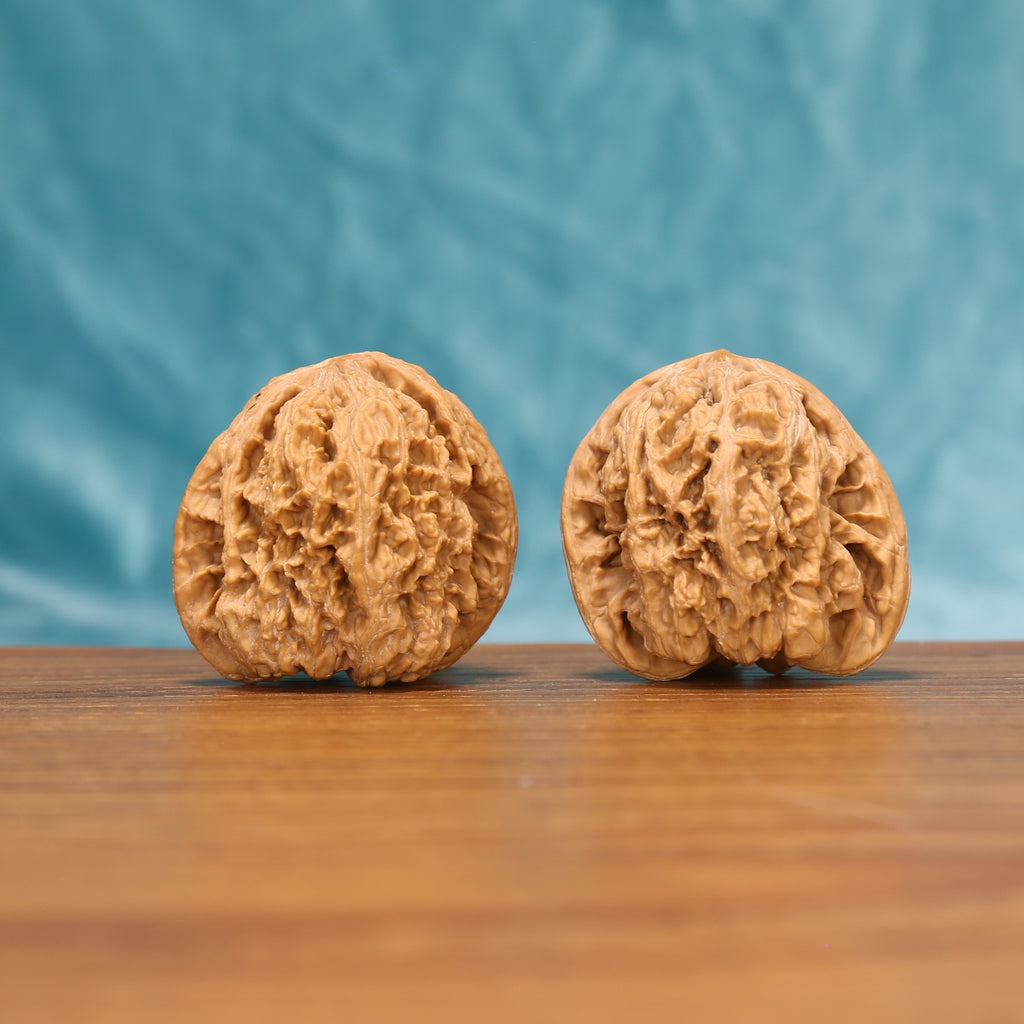 The Fluid Crest | W4930 Wenwan Walnut Set 4930