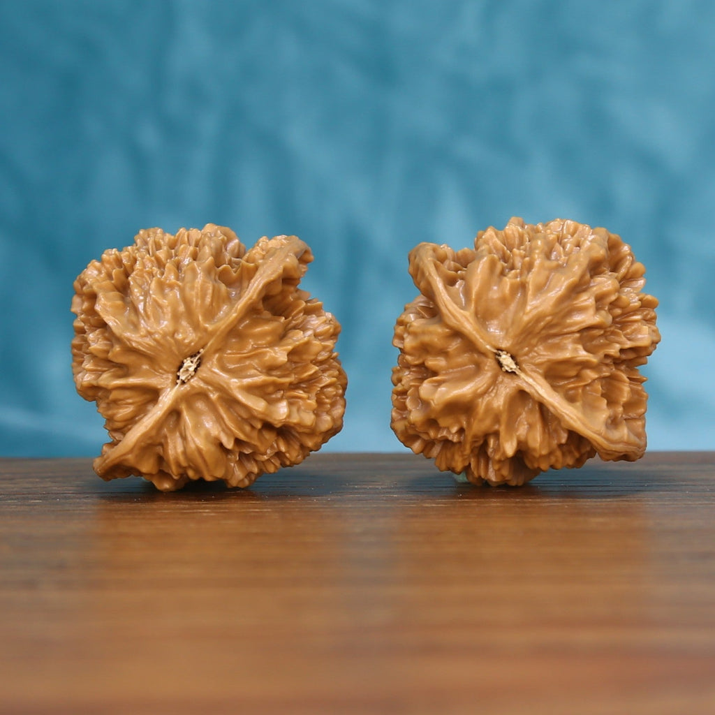Top view of the Emperor wenwan walnut pair 6130, showing the star-shaped ridged crown of each walnut
