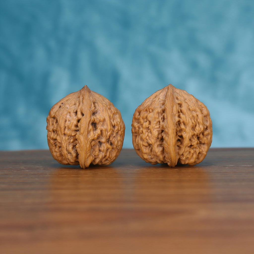 Pair of wenwan walnuts with sharp pointed tip and prominent vertical seam, coarsely wrinkled surface, side view on wooden surface with blue background
