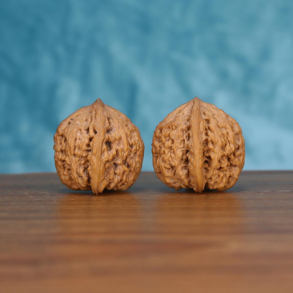 Pair of wenwan walnuts with sharp pointed tip and prominent vertical seam, coarsely wrinkled surface, side view on wooden surface with blue background

