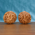 Pair of Qinhuangdao Yuanbao Wenwan walnuts standing upright on a wooden surface against a blue background
