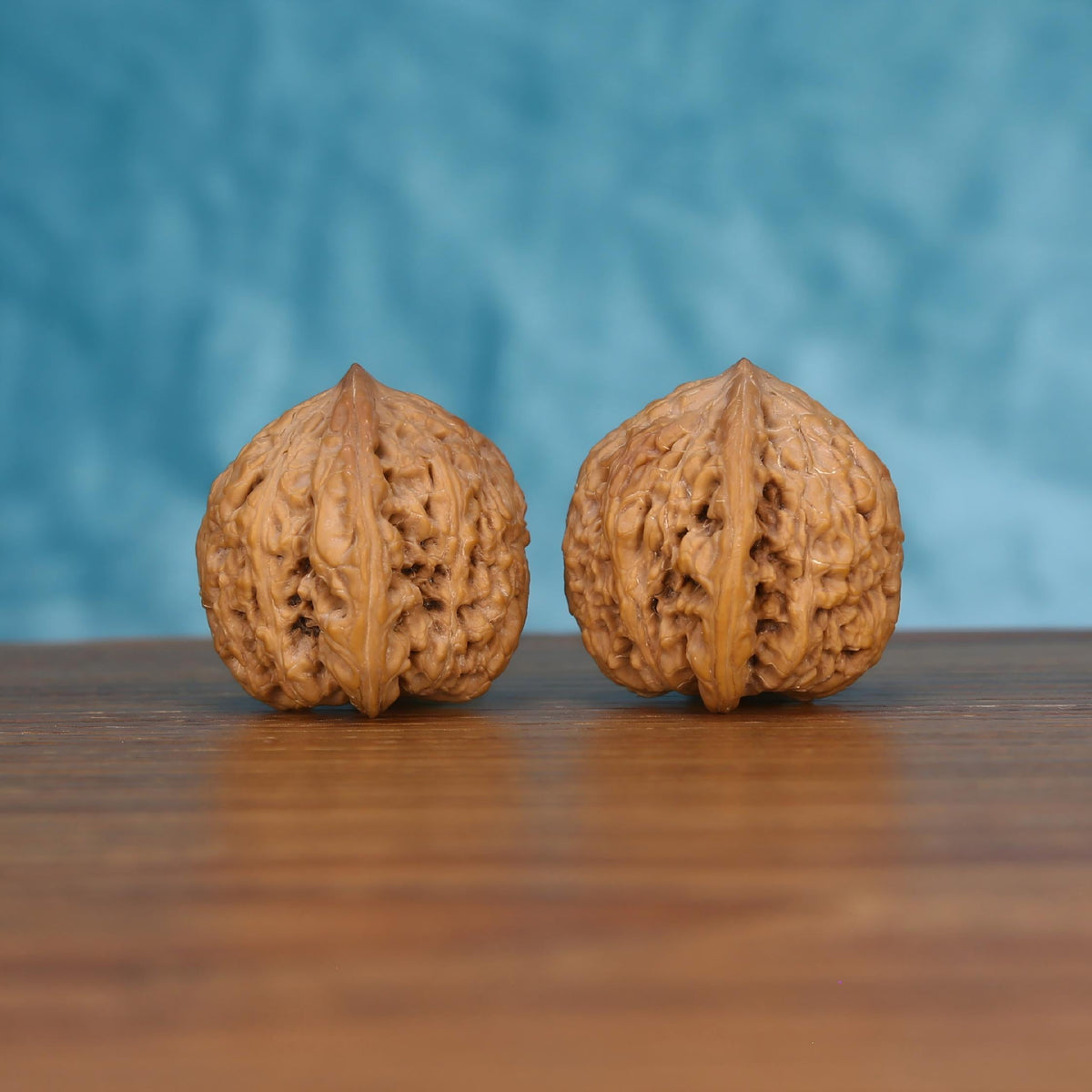 Pair of wenwan walnuts with sharp pointed tip and bold vertical seam, finely wrinkled surface and tall rounded form, side view on wooden surface with blue background
