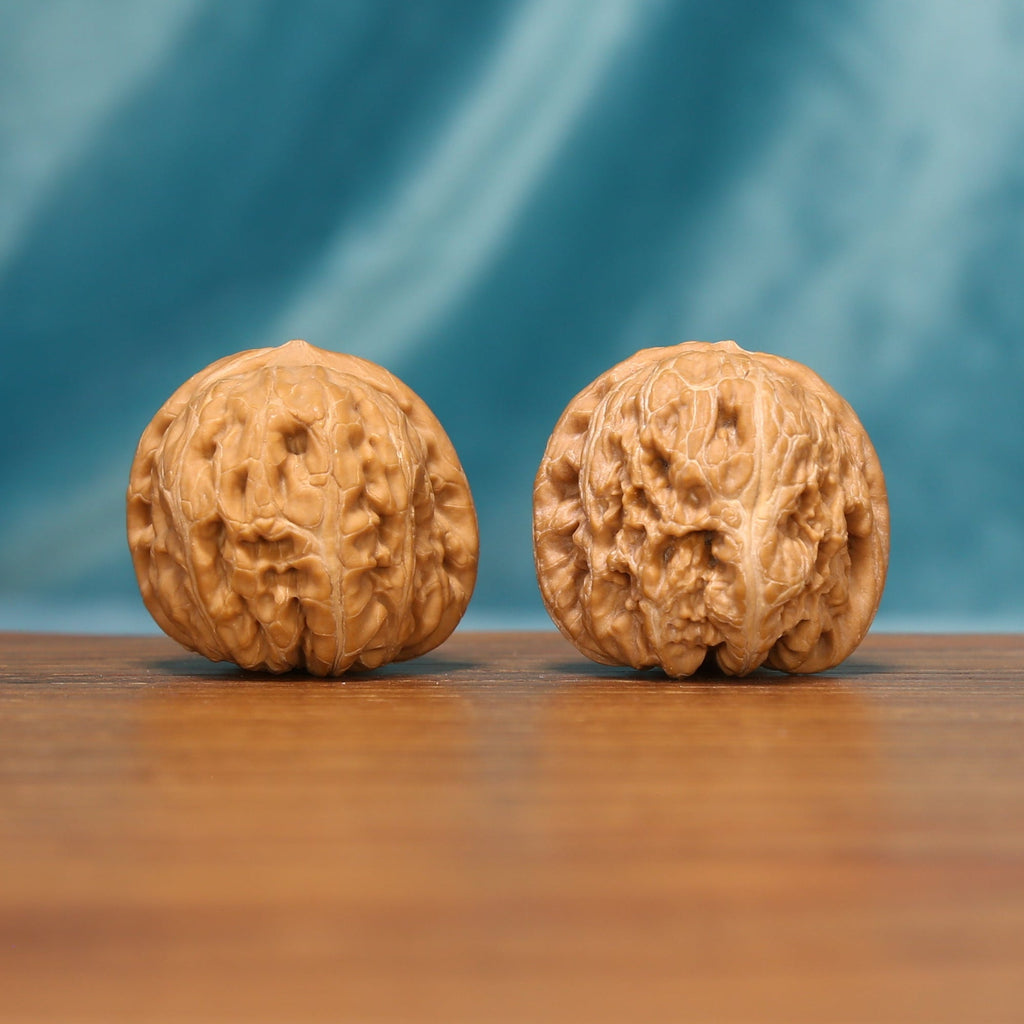 L16 Wenwan walnut pair shown from the front, highlighting rounded forms and natural ridge texture.
